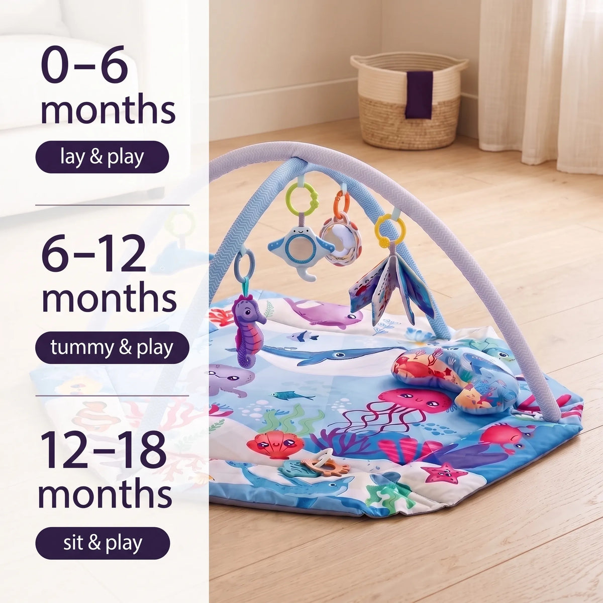 Sensory Baby Activity Play Gym