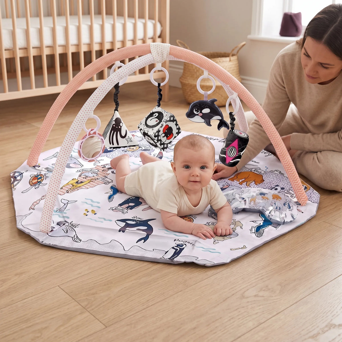 Sensory Baby Activity Play Gym