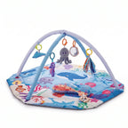 Sensory Baby Activity Play Gym