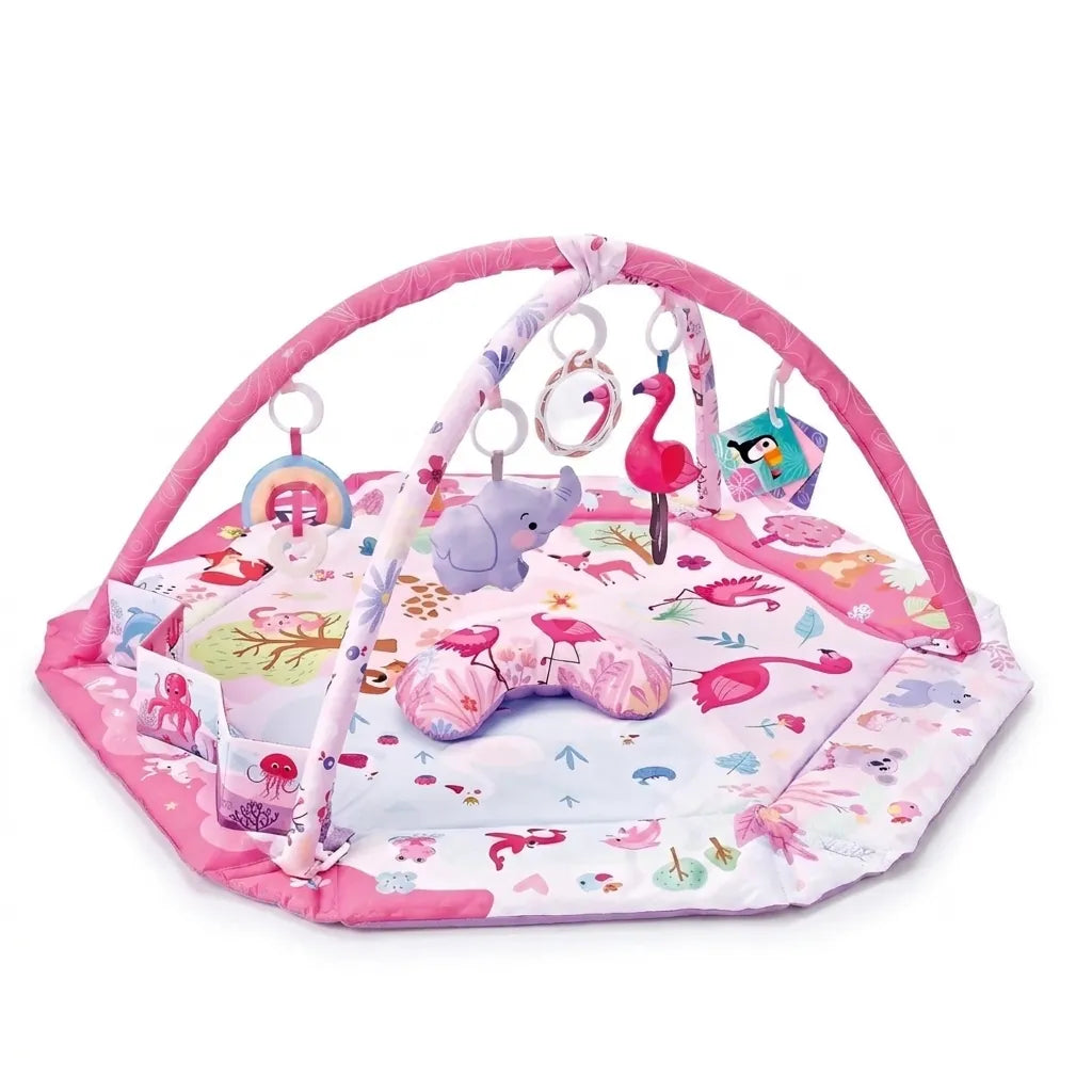 Sensory Baby Activity Play Gym