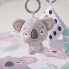 Sensory Baby Activity Play Gym