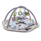 Sensory Baby Activity Play Gym