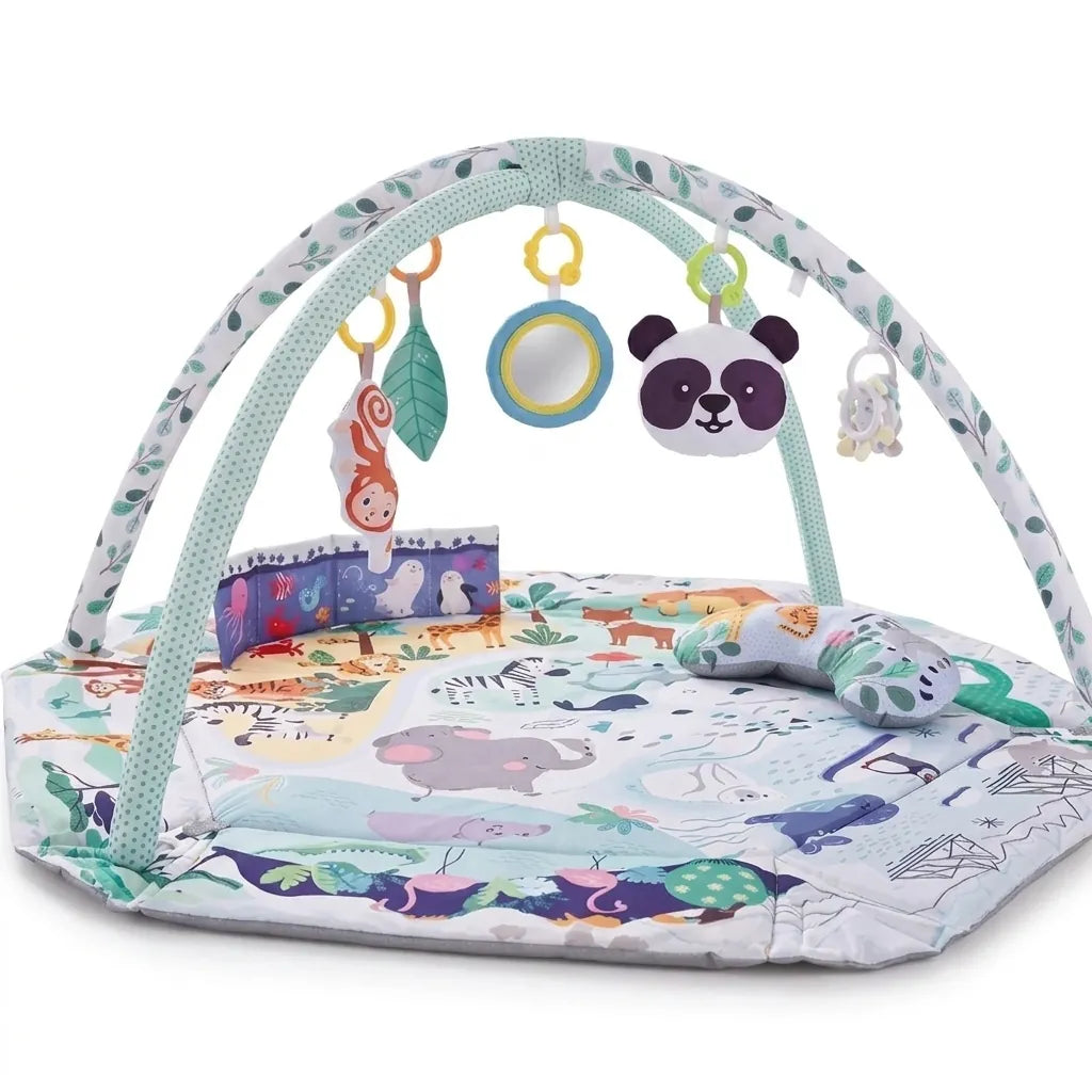 Sensory Baby Activity Play Gym