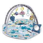 Sensory Baby Activity Play Gym