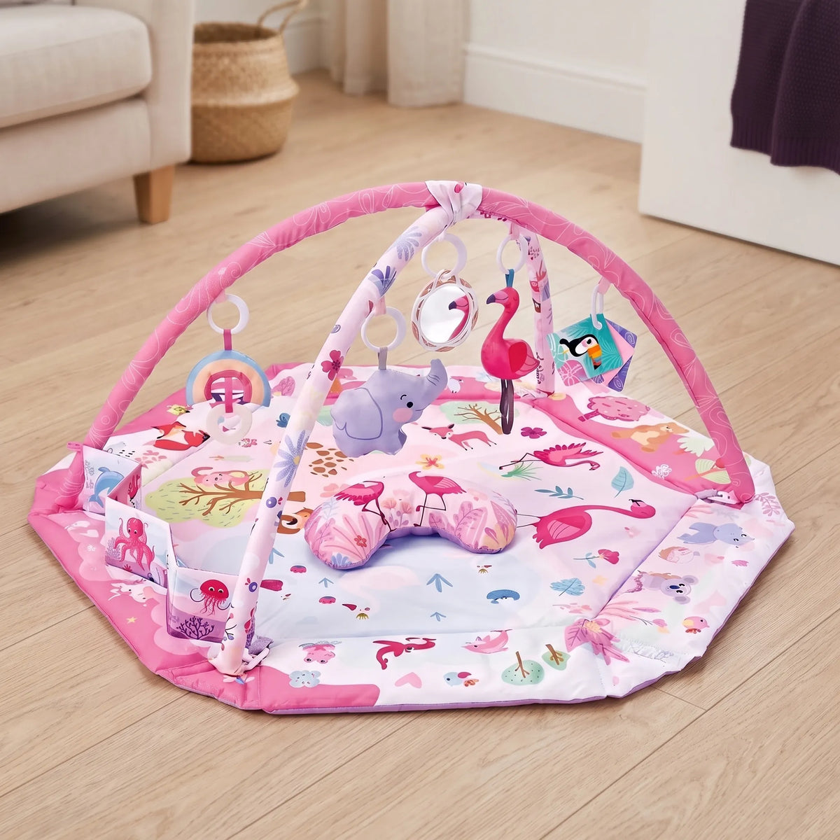 Sensory Baby Activity Play Gym