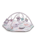 Sensory Baby Activity Play Gym