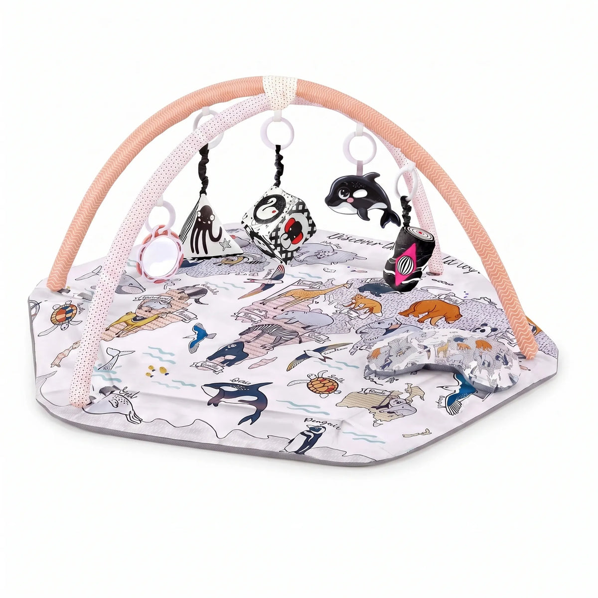Sensory Baby Activity Play Gym