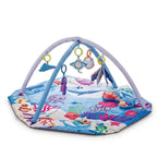Sensory Baby Activity Play Gym